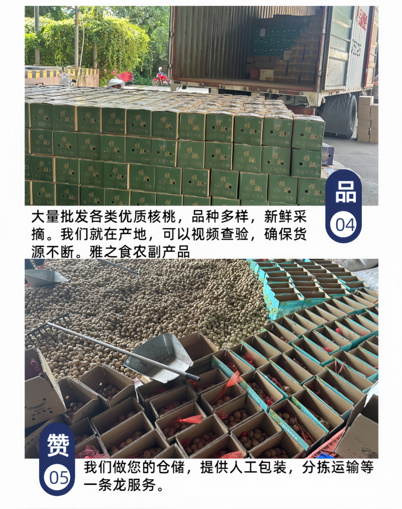 四川凉山青皮核桃产地一手货源价格低品质好包邮