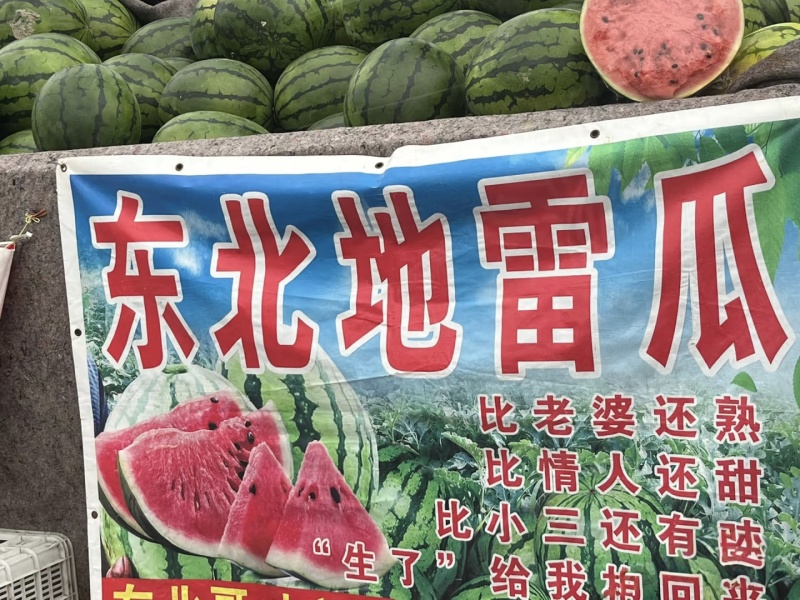 【平台甄选】东北地雷瓜/洮南地雷瓜/吉林西瓜/日出3万斤