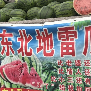 【实力甄选】东北地雷瓜/吉林西瓜/小地雷瓜/庆红999/糖高
