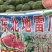 【实力甄选】东北地雷瓜/吉林西瓜/小地雷瓜/庆红999/糖高