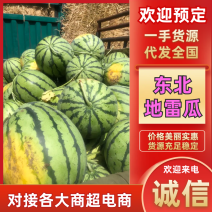 【东北地雷瓜】地雷西瓜/包熟包甜/质量三包/日出3万斤