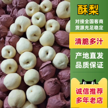 陕西礼泉砀山酥梨，皮薄多汁大量有货，产地直发支持线上交易