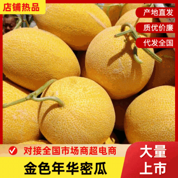 【实力】新疆金色年华蜜瓜/精品哈密瓜品种齐全量大优惠