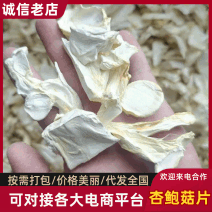 新货杏鲍菇片大中小片都有基地直供品质优可对接市场欢迎咨