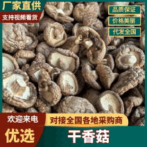 二级干香菇滑子菇大量有货基地直供可视频看货