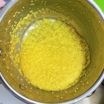泥河湾|批发零售金黄小米沁州黄小米粥米脂油小米