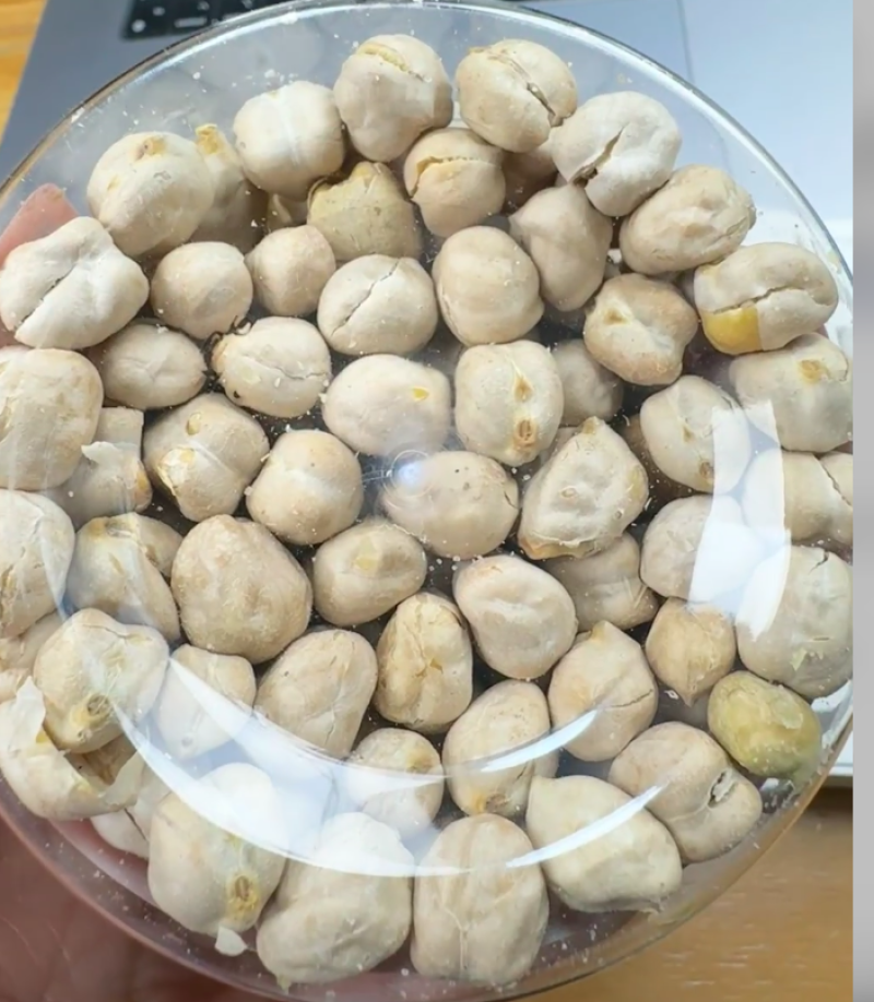 泥河湾|熟制烤鹰嘴豆零食精品大颗粒5mm-14mm