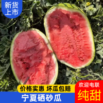 宁夏硒砂瓜石头瓜/一手货源/全国发货/可视频看货