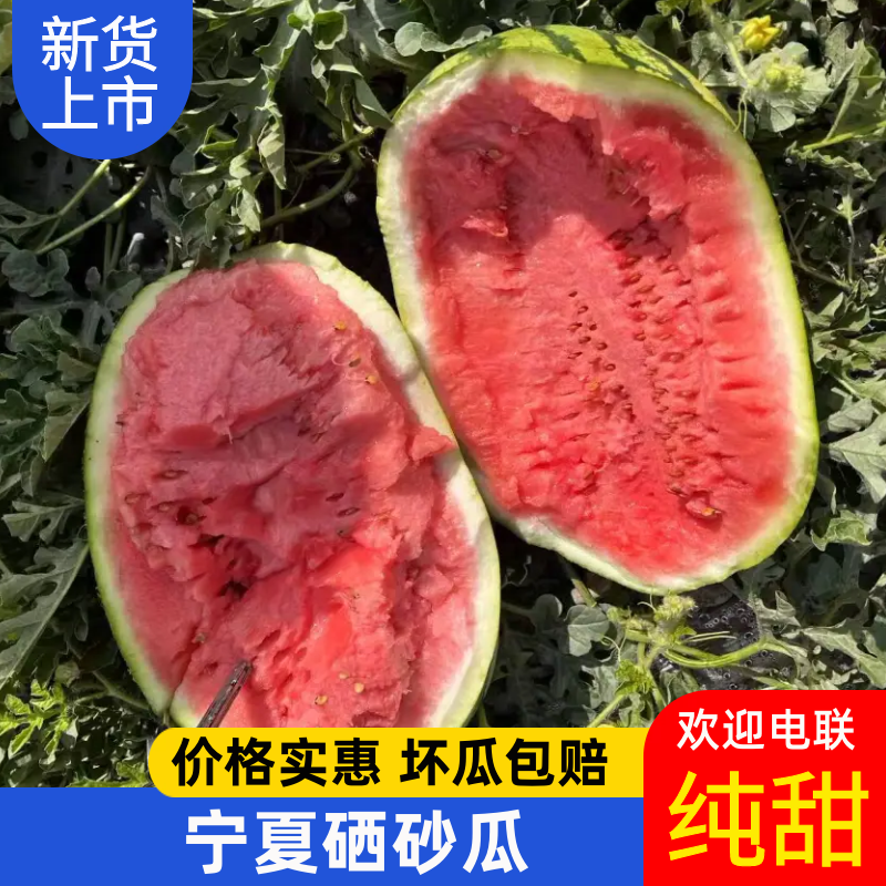 宁夏硒砂瓜石头瓜/一手货源/全国发货/可视频看货