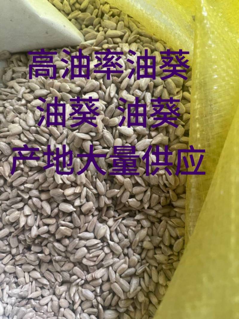 葵花籽全国发货质量保证价格合理欢迎联系
