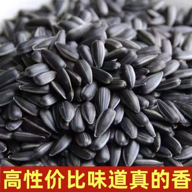 黑珍珠瓜子基地一手货源全国发货对接市场电商可视频