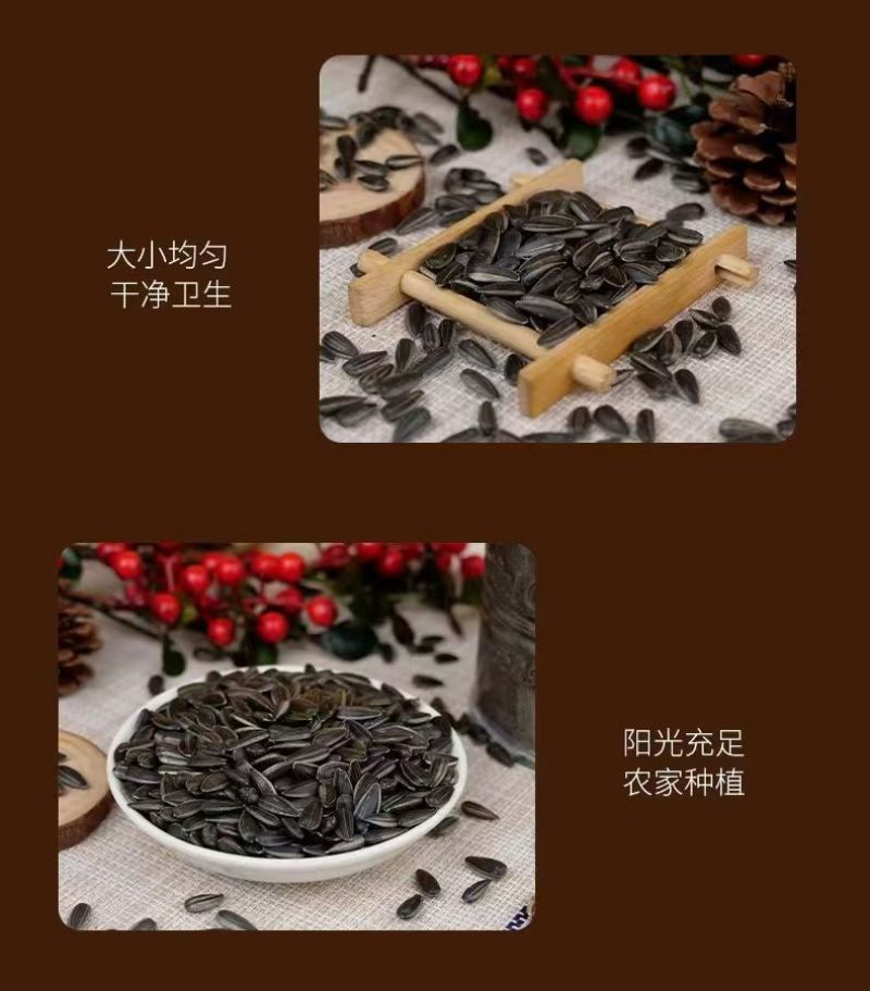 黑珍珠瓜子基地一手货源全国发货对接市场电商可视频