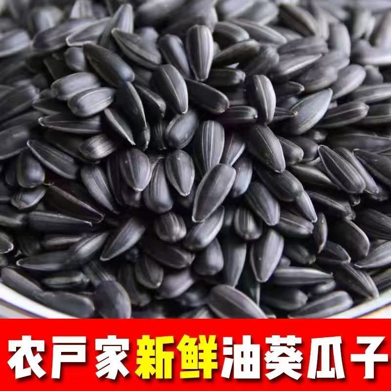 黑珍珠瓜子基地一手货源全国发货对接市场电商可视频