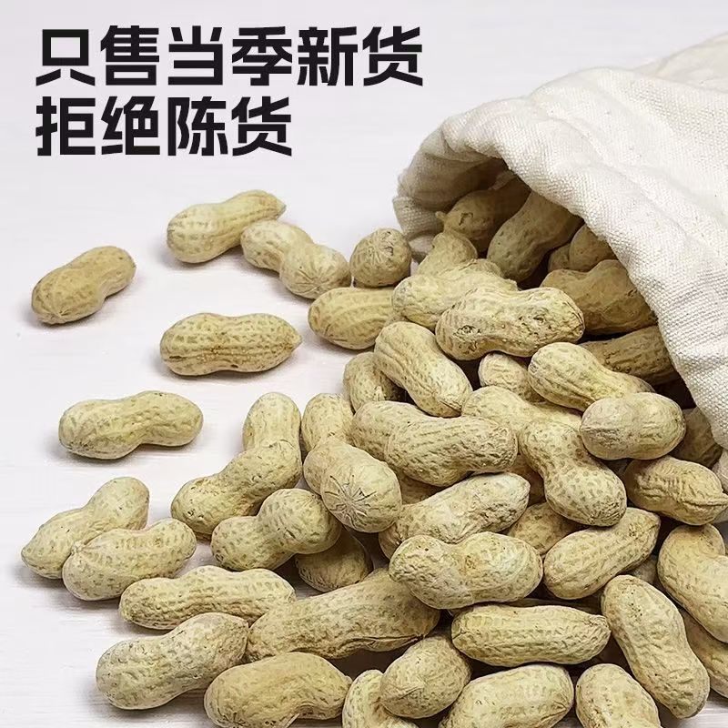 熟花生大量供应全国发货对接市场电商可视频看货