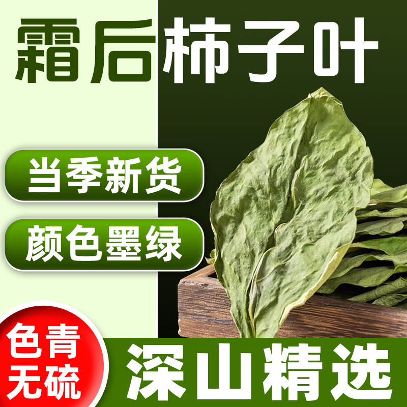 柿子叶柿子叶茶霜后柿子叶柿子叶粉