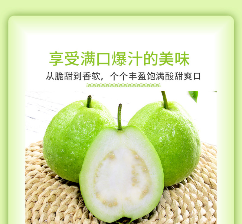 福建白心芭乐一件代发产地直发一手货源对接各大电商平台
