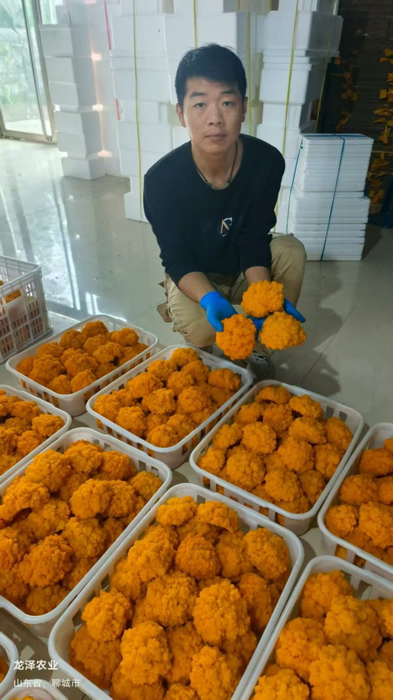 金耳鲜品大量供应保质保量，诚信经营致电联系