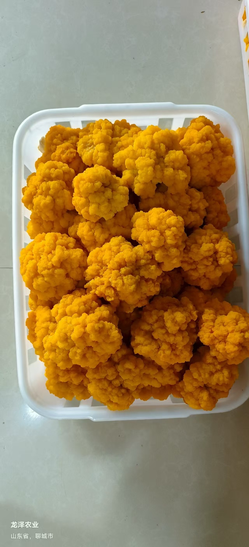 金耳鲜品大量供应保质保量，诚信经营致电联系