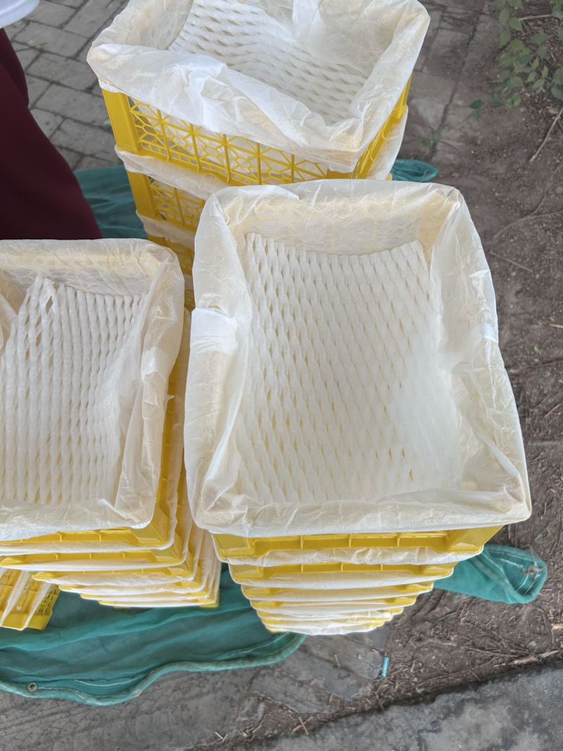无核白葡萄基地直销量大质优价格优惠一手货源欢迎咨询