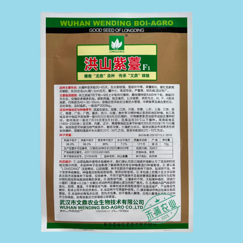 【文鼎菜苔】洪山紫薹基地菜农专用正宗武汉红菜苔种子耐寒
