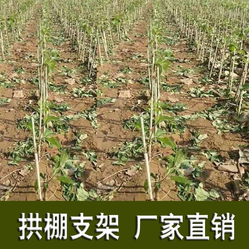 4mm玻璃纤维杆小拱棚支架菜棚花棚保温育苗棚防晒棚