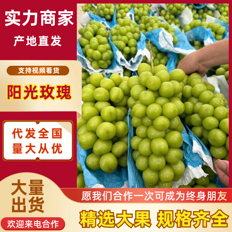 阳光玫瑰陕西晴王葡萄货源充足基地直发量大从优