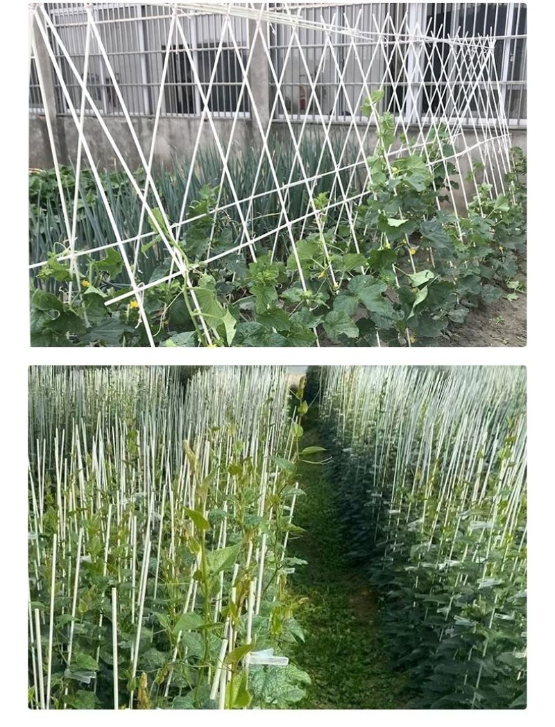 4mm玻璃纤维杆小拱棚支架菜棚花棚保温育苗棚防晒棚