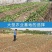 5mm玻璃纤维杆纤维棒大棚杆拱棚支架苗棚遮阳棚