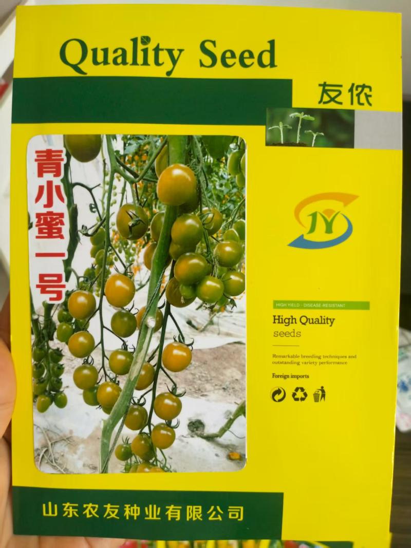 绿色小番茄种子超甜小绿柿子籽四季青小蜜一号
