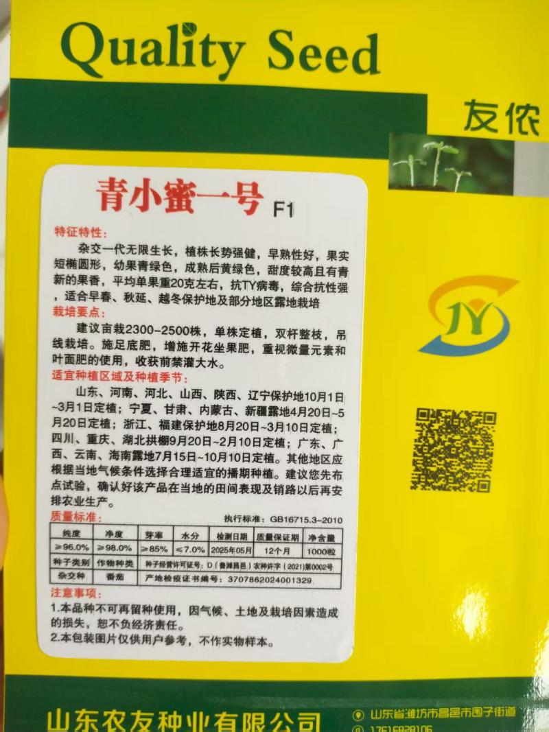 绿色小番茄种子超甜小绿柿子籽四季青小蜜一号