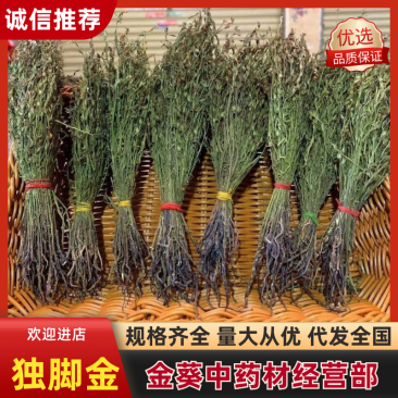 独脚金一手货源独脚金大量现货量大从优