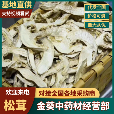 松茸松茸干片云南香格里拉松茸