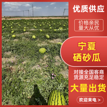 《实力硒砂瓜》产品大量有货精品直供可视频看货