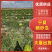 《实力硒砂瓜》产品大量有货精品直供可视频看货