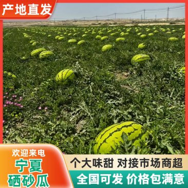 硒砂瓜全国代发价格美丽对接商超保质保量