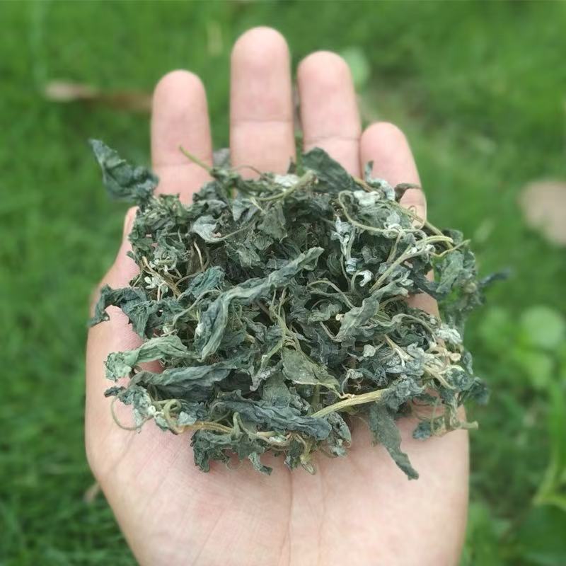 野生干灰灰菜深山采摘灰灰菜野灰菜农家野菜农家菜干菜
