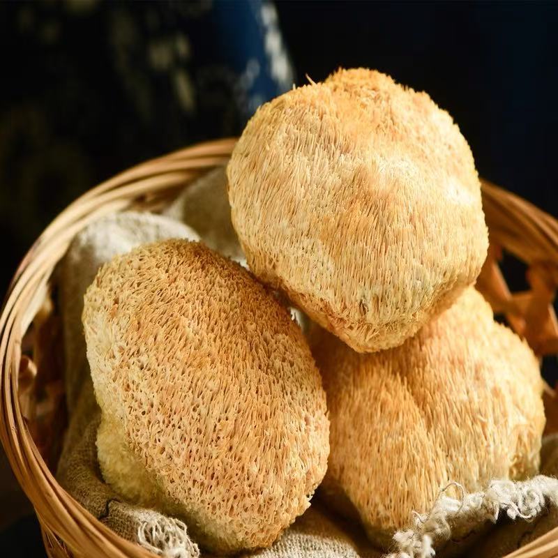 猴头菇干货特产食用菌古田无硫新货特级干猴头菌非野生养胃