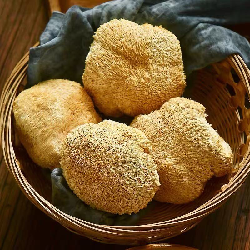 猴头菇干货特产食用菌古田无硫新货特级干猴头菌非野生养胃