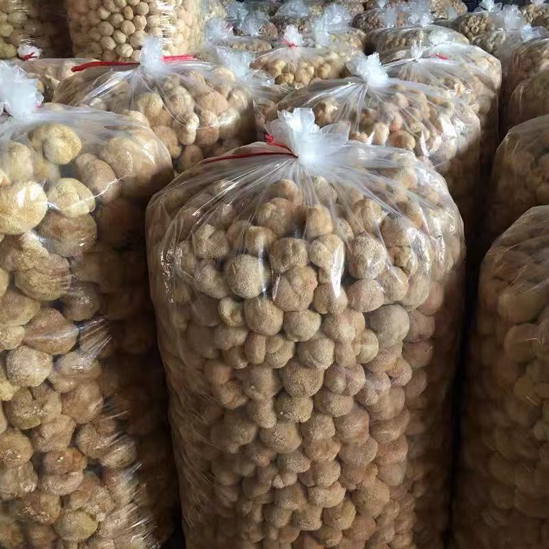 猴头菇干货特产食用菌古田无硫新货特级干猴头菌非野生养胃