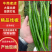 河南精品线椒货源充足量大从优质量保证欢迎咨询