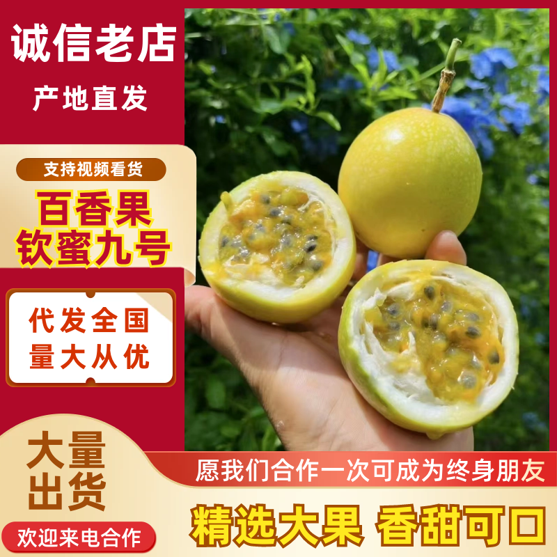 百香果钦蜜9号基地直发量大从优代发全国市场电商