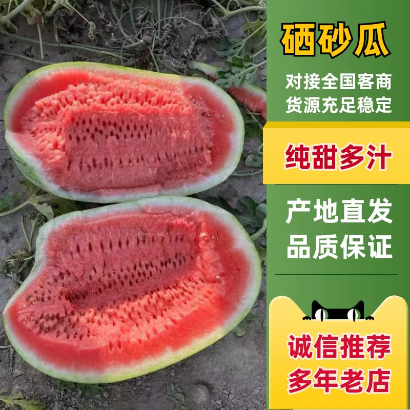 硒砂瓜宁夏石缝瓜石头瓜包熟包甜量大从优代发全国