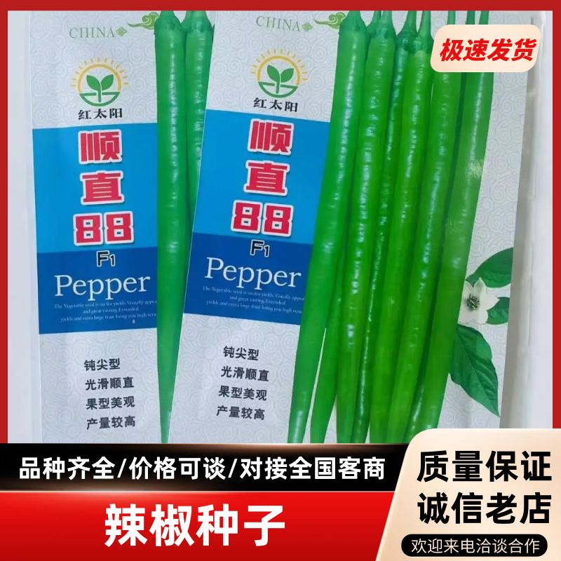 【推荐】红太阳顺直88辣椒种子，钝尖型，光滑顺直