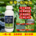 40%苯甲吡唑酯早疫叶枯叶斑溃疡叶霉炭疽病沙皮病真菌病害
