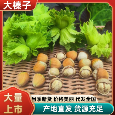 【实力推荐】辽宁平欧大榛子带皮不带皮品类齐全量大从优