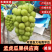 陕西大荔县阳光玫瑰大量上市，产地直发，新鲜现摘，量大从优