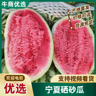 宁夏硒砂瓜石头瓜质量好价优支持视频看货售后无忧！！