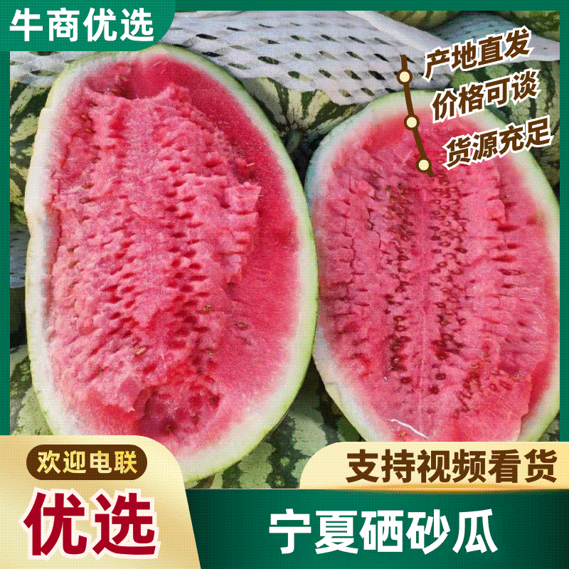 宁夏硒砂瓜石头瓜质量好价优支持视频看货售后无忧！！