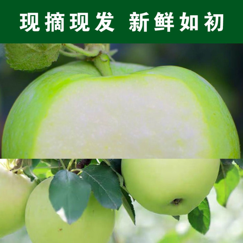 青苹果华硕苹果金华硕新鲜青苹果酸甜青苹果