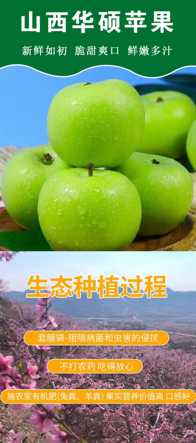 青苹果华硕苹果金华硕新鲜青苹果酸甜青苹果